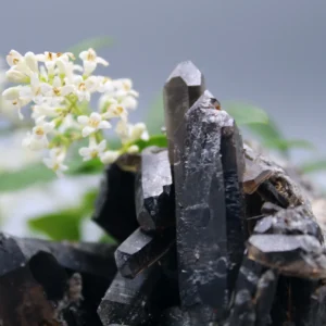 Røgkvarts Klynge (1.1)