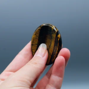 Tigerøje Worrystone (1)