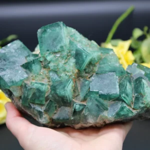 Stor Grøn Fluorit Klynge (1)